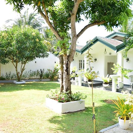 The Bamboo Tree Transit Hotel Катунаяка Екстер'єр фото