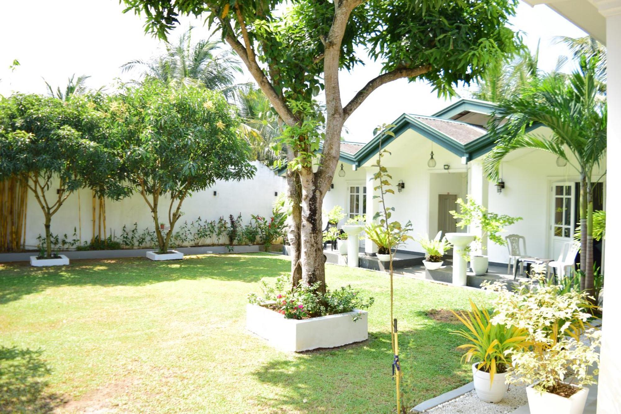The Bamboo Tree Transit Hotel Катунаяка Екстер'єр фото