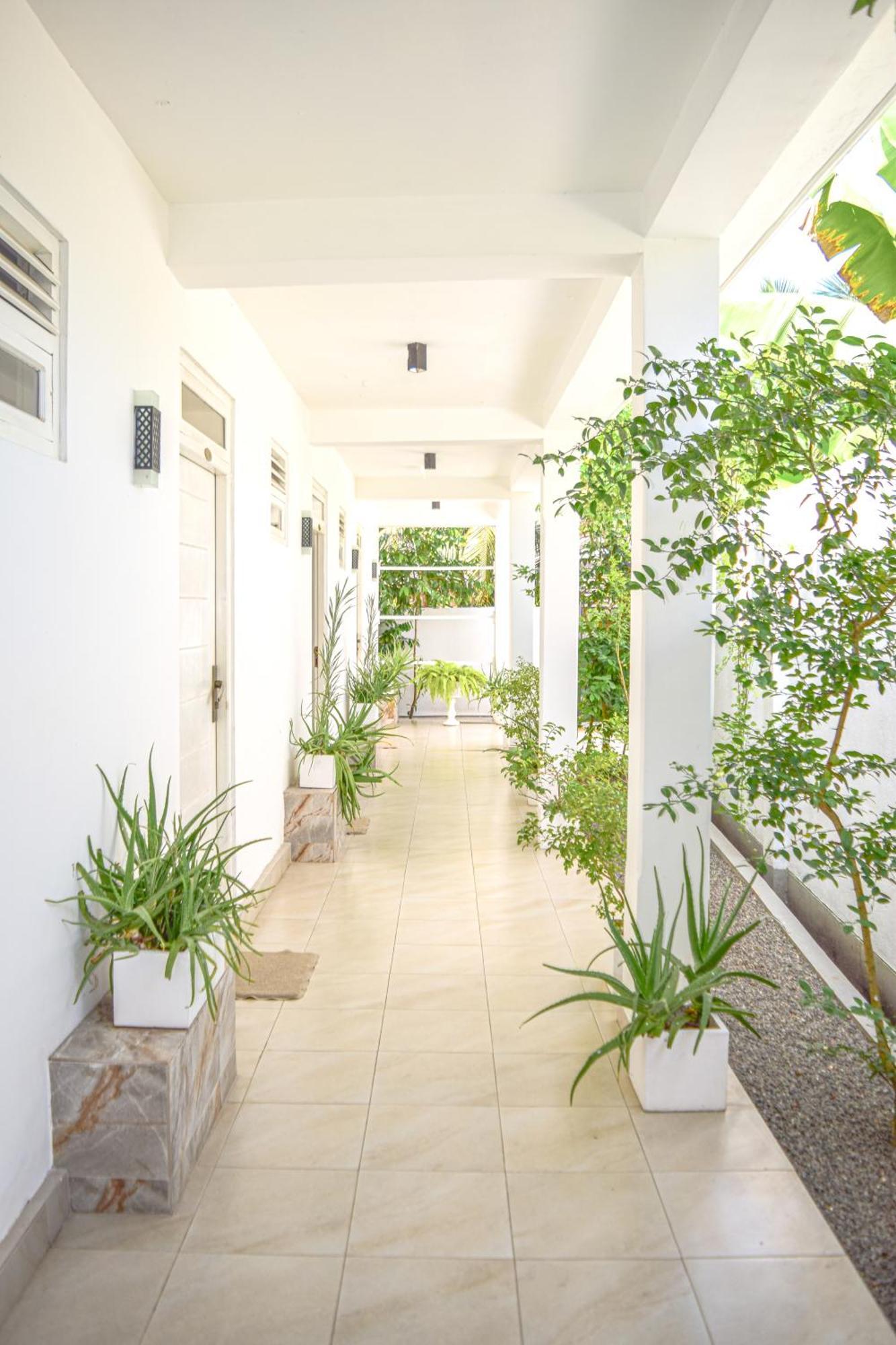 The Bamboo Tree Transit Hotel Катунаяка Екстер'єр фото