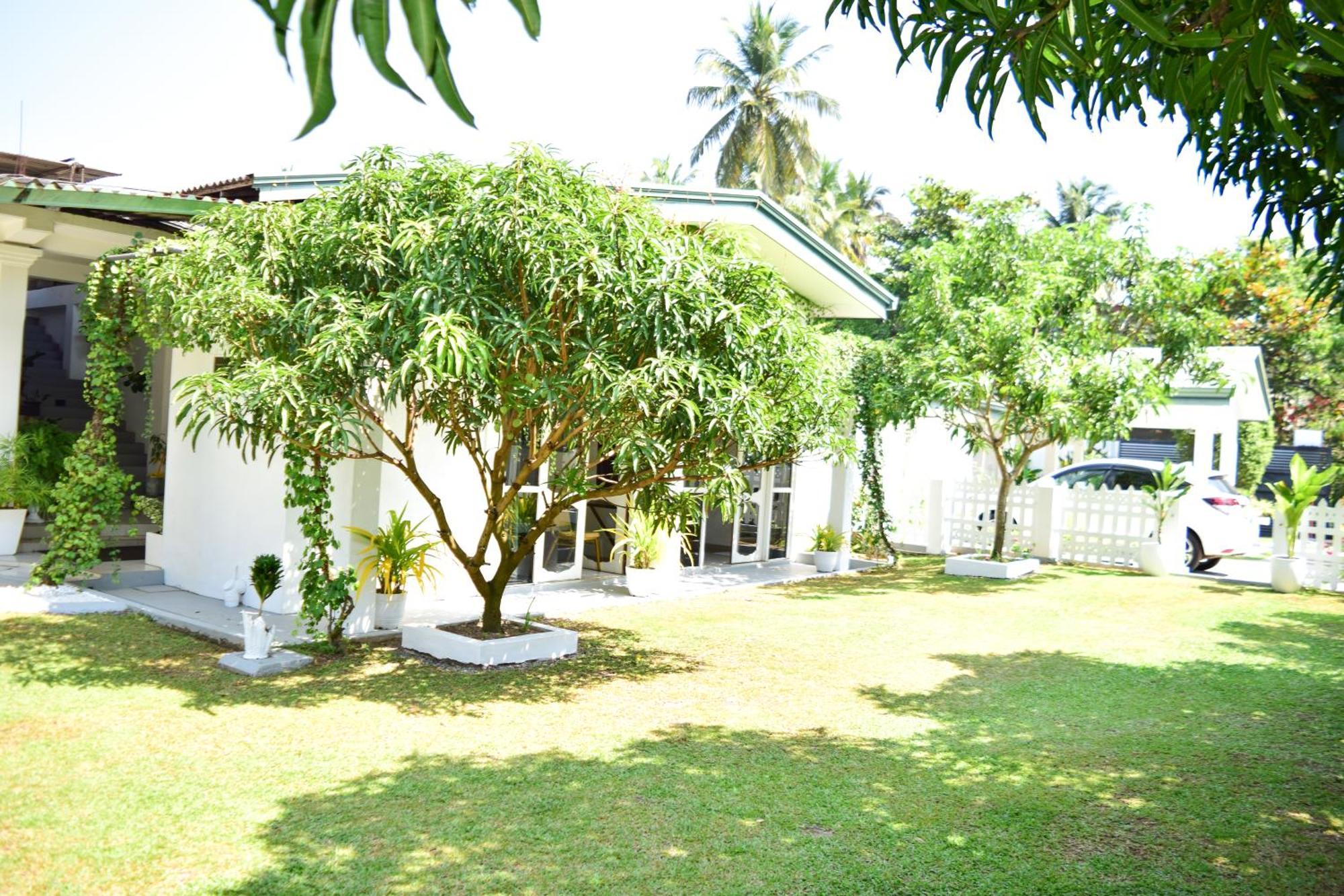 The Bamboo Tree Transit Hotel Катунаяка Екстер'єр фото